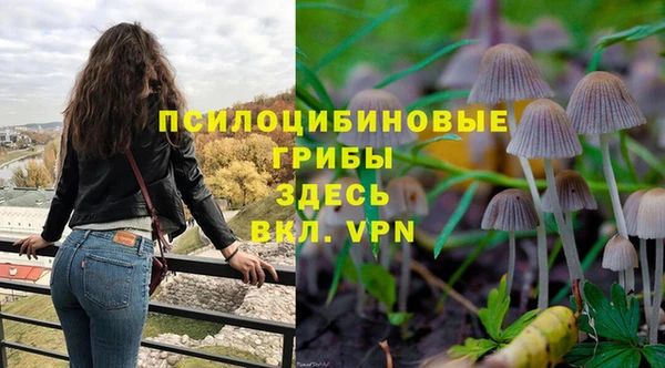 индика Балахна