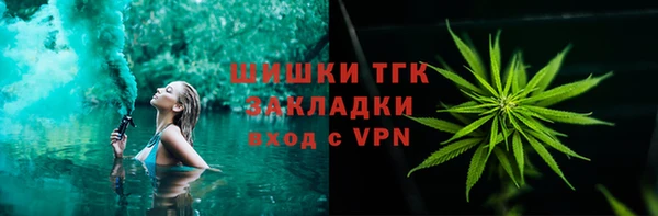 индика Балахна