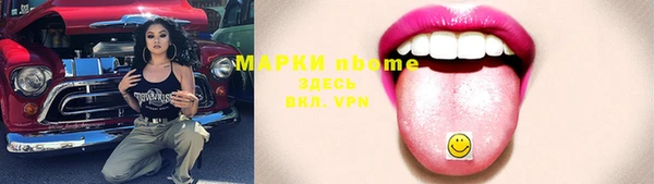 индика Балахна