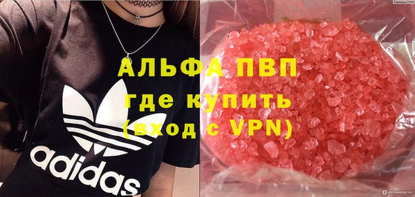 индика Балахна