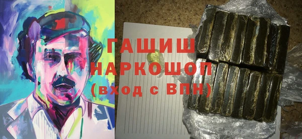 индика Балахна