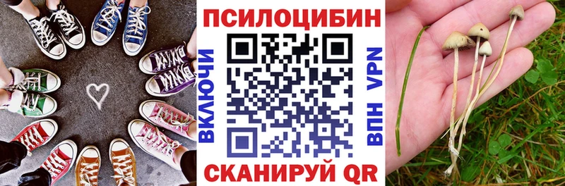 мега ссылка  где купить наркоту  Вязьма  Псилоцибиновые грибы Cubensis 